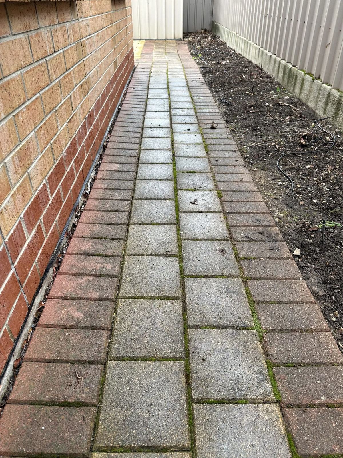 Brick paver path before pressure cleaning